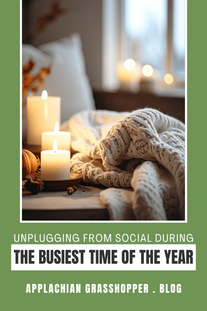 the benefits of unplugging from social media during the busiest time of the year