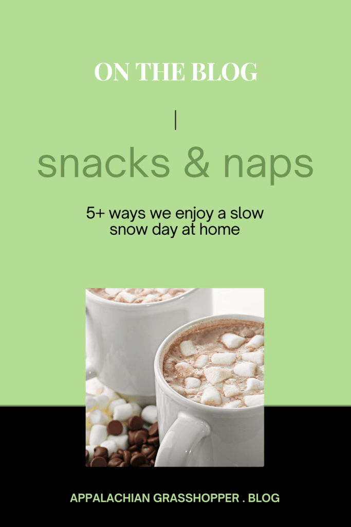 Snacks and Naps - 5+ Ways We Spend a Slow Snow Day at Home