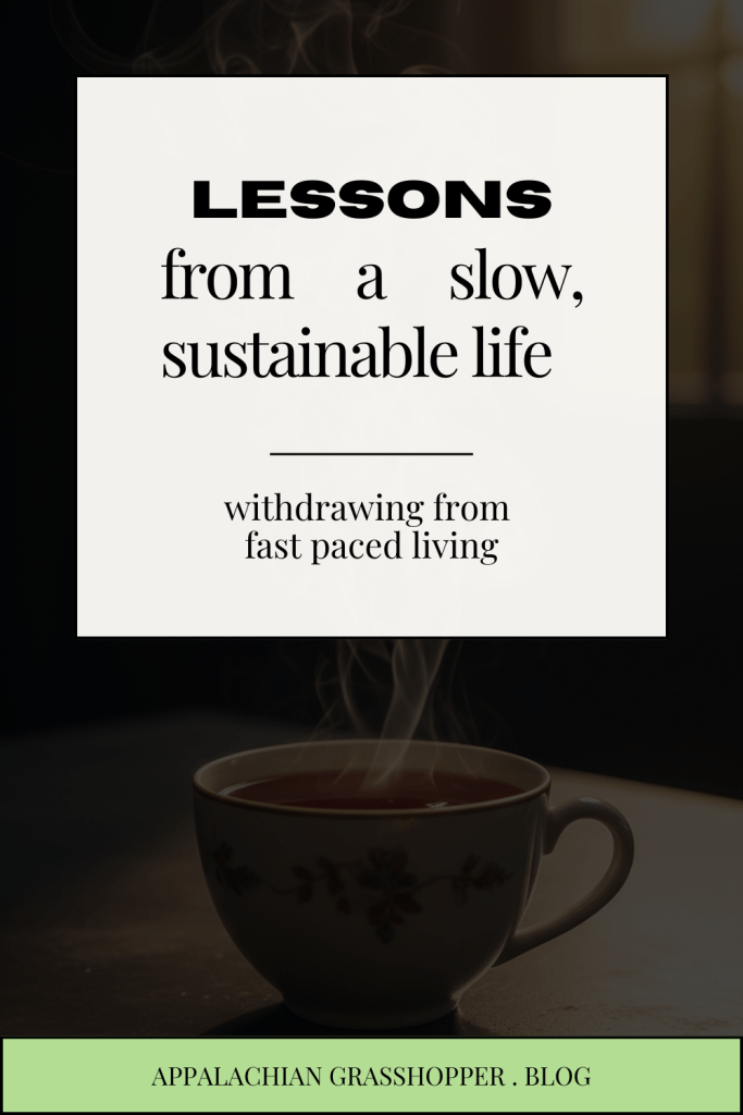lessons from a slow, sustainable life - withdrawing from the modern norm of fast-paced living