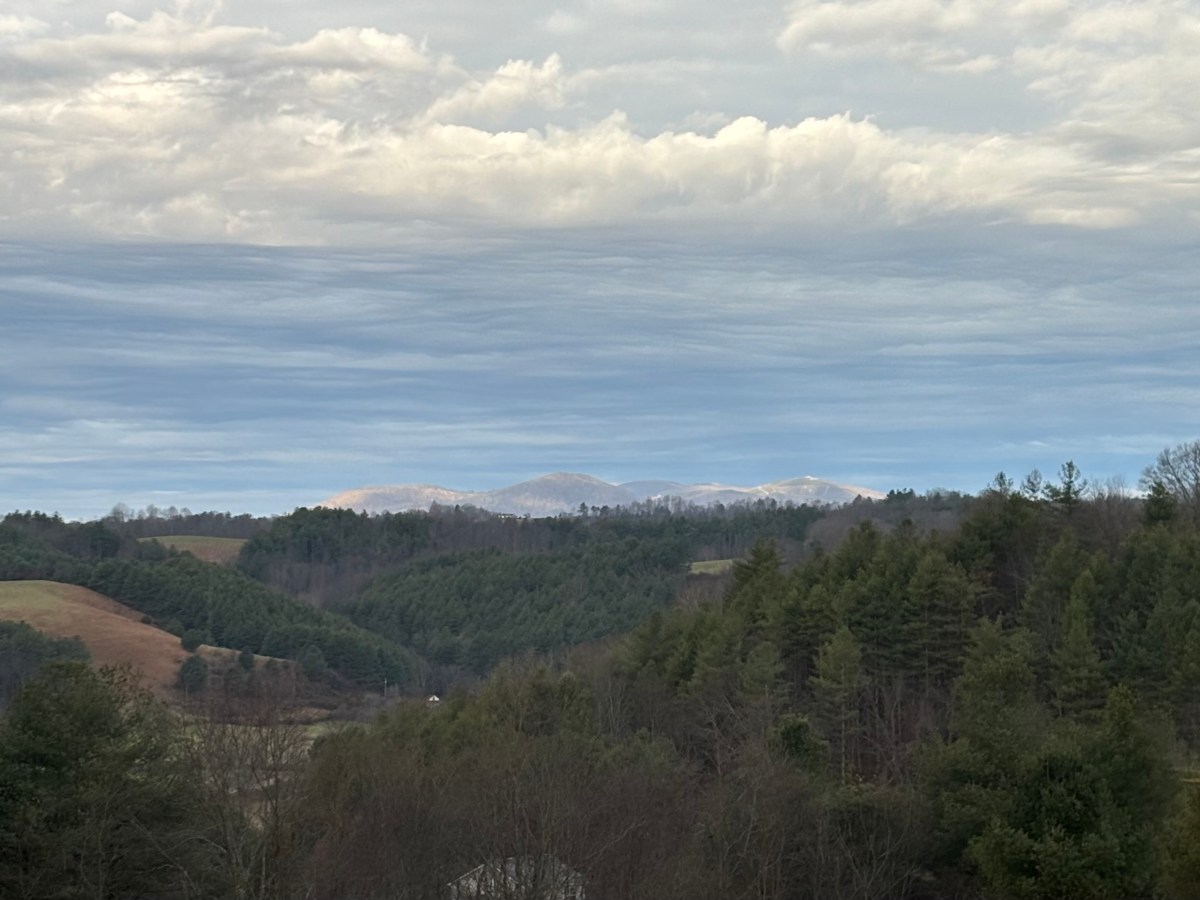 2025 Recap: Achievements and Future&nbsp;Goals