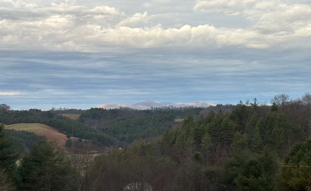 2025 Recap: Achievements and Future Goals